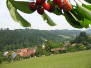 Blick nach Norden auf Keppenbach am 4.6.2007