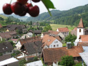 Blick vom Wasserbeh�lter Reichenbach am 4.6.2009 nach S�den in Richtung Keppenbach