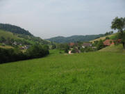 Blick nach Westen auf Reichenbach am 4.6.2008: Winterbauer, Wiedlehof , K�lblinb�hler und M�llerbauer (von links)