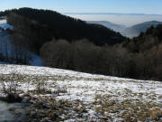 Blick von Wegweiser "Neubauern Ebel" nach Westen zur Rheinebene am 11.1.2009