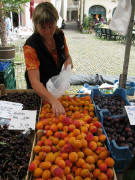 Aprikosen vom Brunnenhof am 11.7.2009 - garantiert von Eichstetten