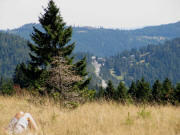 Blick vom St�benwasen nach Osten zur Pa�h�he Feldberg und Hebelhof am 12.9.2009