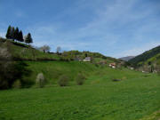 Blick nach Norden �ber Ober-B�rchau zum Belchen am 29.4.2010