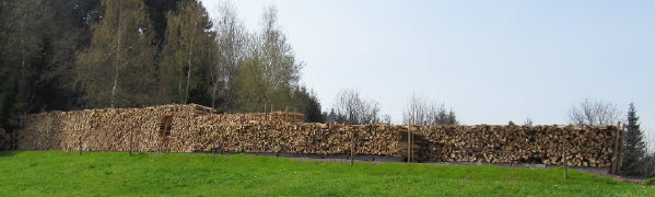 Holzbeuge an der Immi im Dreisamtal 17.4.2010