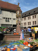 M�nstermarkt am 18.9.2010:  K�rbis am Fischerbrunnen