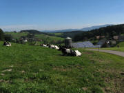 Blick ber den Tbisenhof (Solar) und Schillhof (rechts) nach Osten auf Oberspitzenbach am 22.9.2010