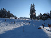 Blick  nach S�den �ber die Grafenmatt am 14.2.2010 - rechts Burgstube