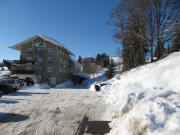 Waldvogel neben dem Feldberger Hof am 14.2.2019 - Blick nach Westen