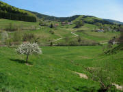 Blick nach Osten zu B�rchau-Sonnhalde am 29.4.2010