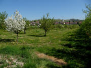 Blick nach Osten auf Fischingen am 28.4.2010