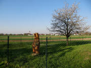 Blick nach S�den auf Oberhausen am 24.4.2010 (B�r von Blattmann aus Weisweil)