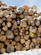 Holzbeuge am 3.12.2010 bei Buchenbach