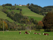 Blick nach Norden hoch zum Lindenberg am 26.10.2010
