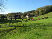 Blick nach S�dwesten zum Melcherhof am 26.10.2010