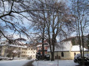 Blick nach <Norden am 3.12.2010 im Kolleg in Stegen