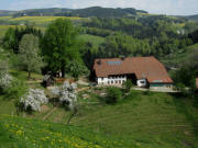 Blick nach Norden �ber den B�hlhof zum Kandelberg am 23.4.2011