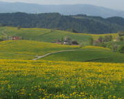 Blick vom Kandelberg nach S�den �ber Rohr bis zur Lindleh�h am 23.4.2011 