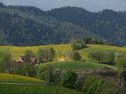 Blick nach S�den �ber Rohrerhof und Glottertal zum Wuspenhof am 23.4.2011