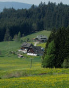 Blick vom Str��chen Breitnau-Heiligenbrunnen nach S�den zum Mahlerhof am 25.4.2011