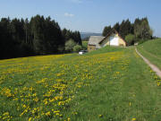 Blick nach S�dwesten �bers Steiertenh�usle bis zum Feldberg am 5.4.2011