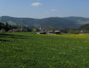 Blick nach S�den zu Geggeshof (links) und Thomalihof am 25.4.2011