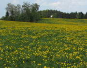 Blick nach Westen zur T�rlekapelle am 23.4.2011
