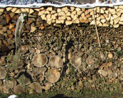 Holzbeuge am 23.2.2011