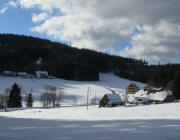 Blick nach S�den im Jungholz am 3.1.2011: Waldh�ters rechts