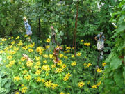 Blumenfrauen am 16.8.2009