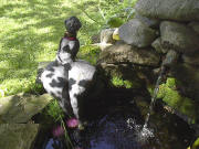 Freiburger Wassernixe am Teich 