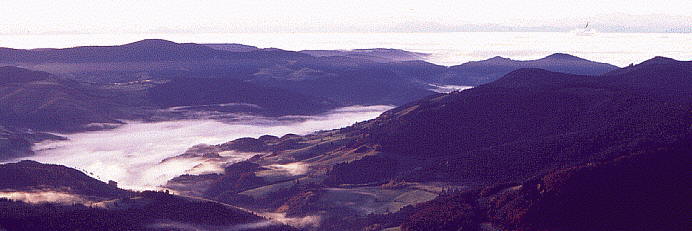 Blick vom Belchen nach S�dem - Alpenblick bei Sonnenaufgang