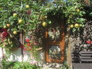 apfel-schopf150915