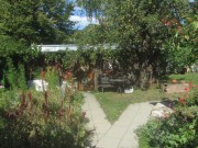apfelbaum150915