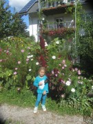 giersbergweg17blumen170917