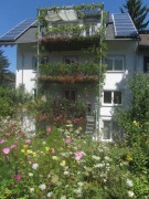 hummelhof-balkone160811