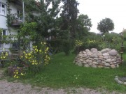 nachtkerzen-steine140802