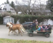 pferdekutsche13-160222