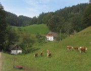 stmaergen-holzschlag130928