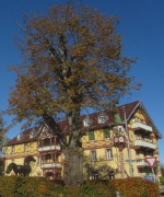 stmaergen12krone121023