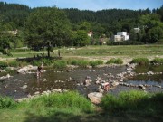 dreisam-kartaus150911