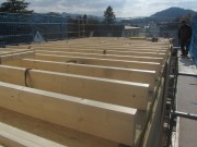gutleut5dach160314