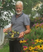 feigen4ernte140919