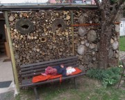 holzbeige-nickerchen140324