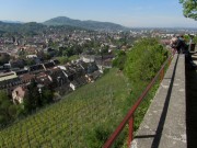 ottilien17wiehre140416