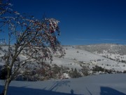 schnee3hofsgrund131128