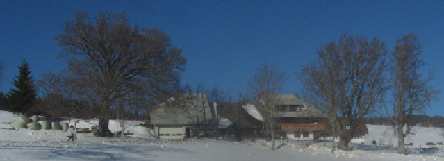 Blick nach Norden zum Flammhof in Hofsgrund auf dem Schauinsland am 31.1.2014