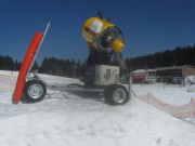 feldberg9seebuck-skikanone140313