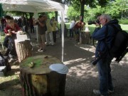 steinfestival9lenz140525