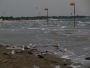 strand16moeven140510