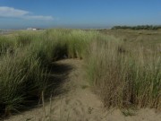 strand2duenen140513